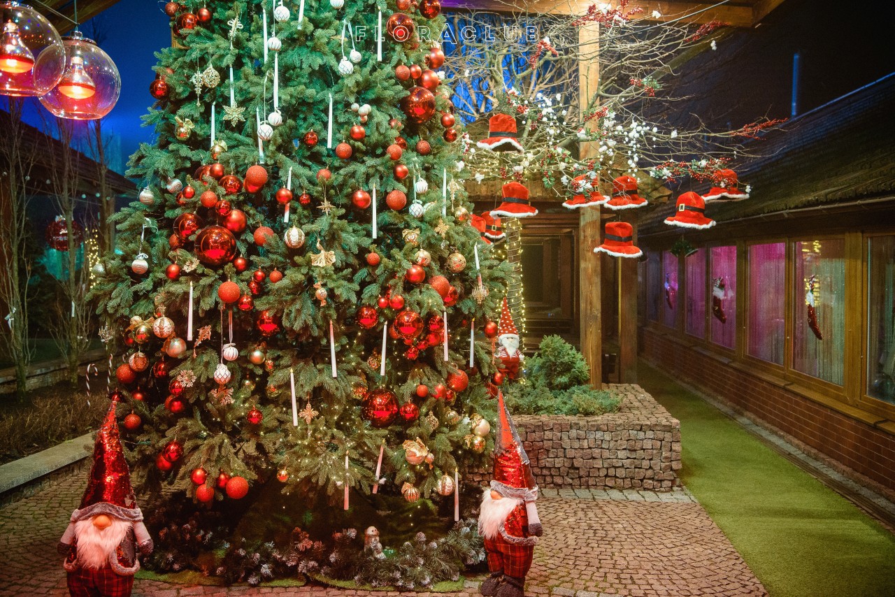 Новорічний корпоратив (19.12.2025)