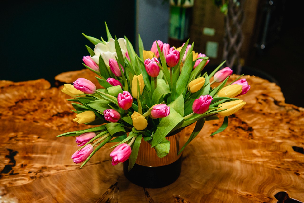 Концерт до дня закоханих: SKYLERR (14.02.2026)